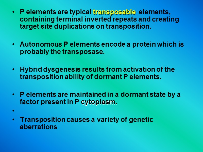 P elements are typical transposable  elements, containing terminal inverted repeats and creating target